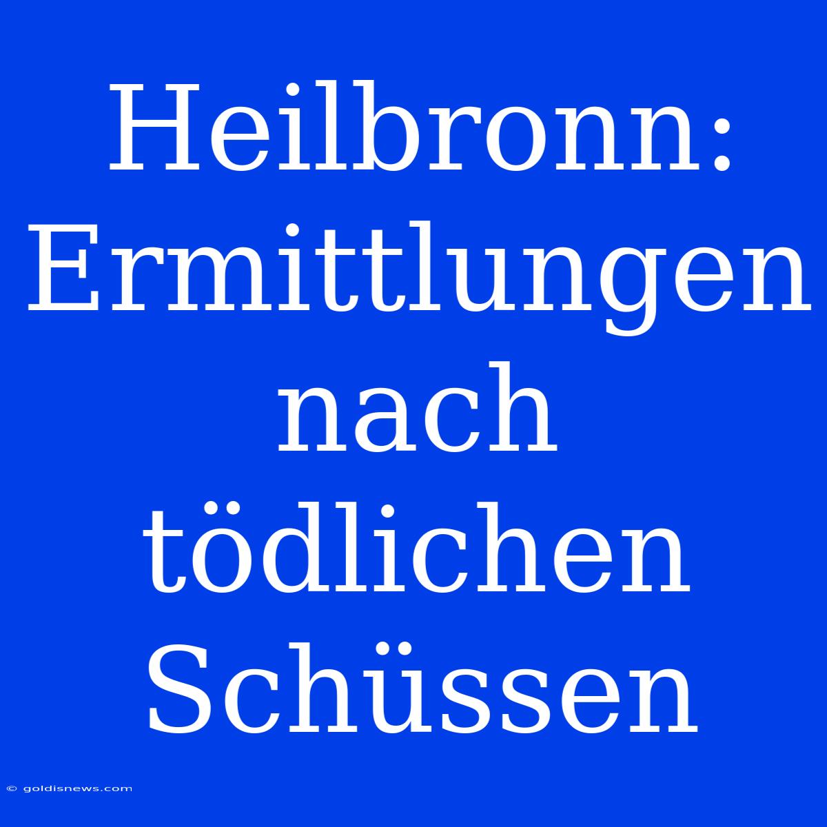 Heilbronn: Ermittlungen Nach Tödlichen Schüssen