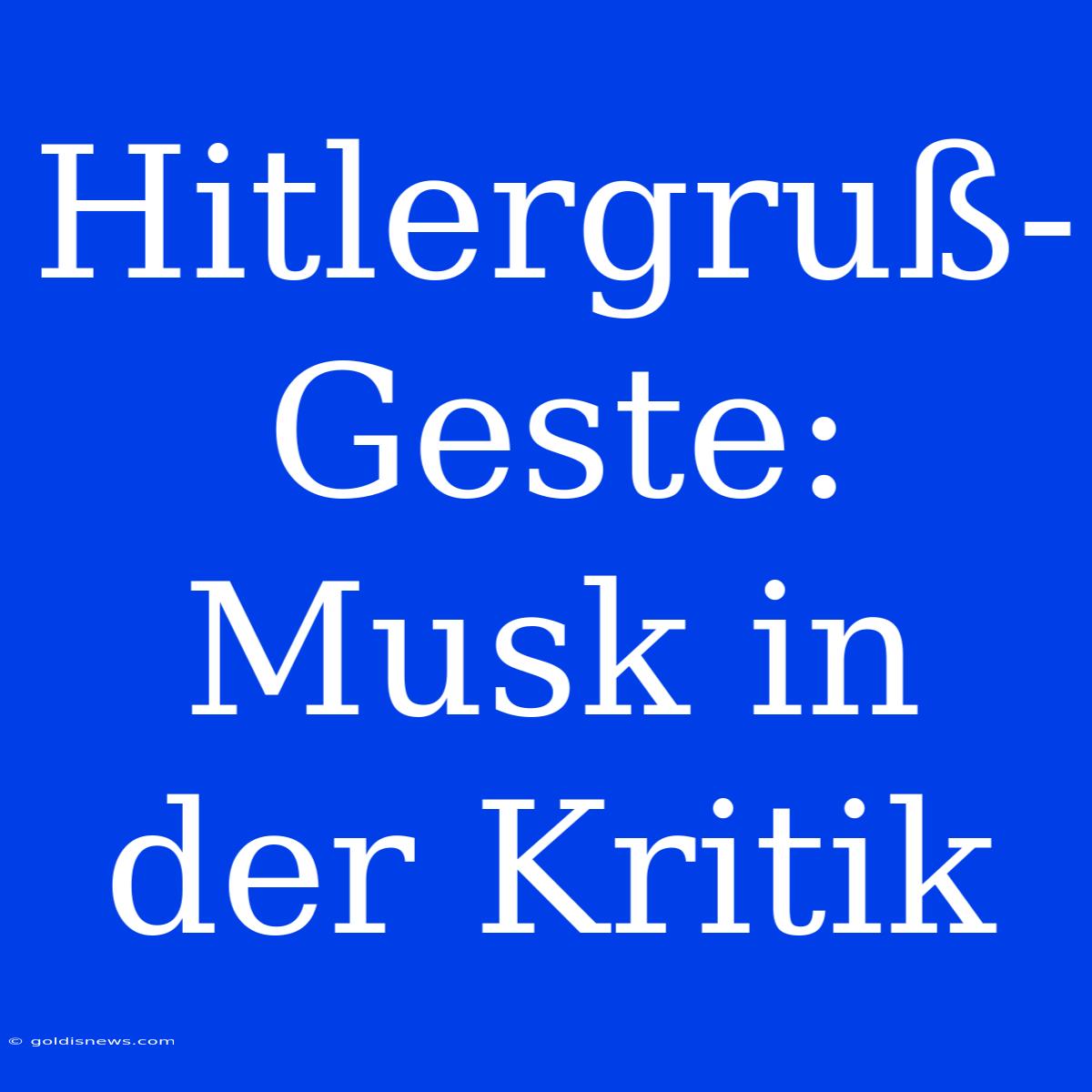 Hitlergruß-Geste: Musk In Der Kritik