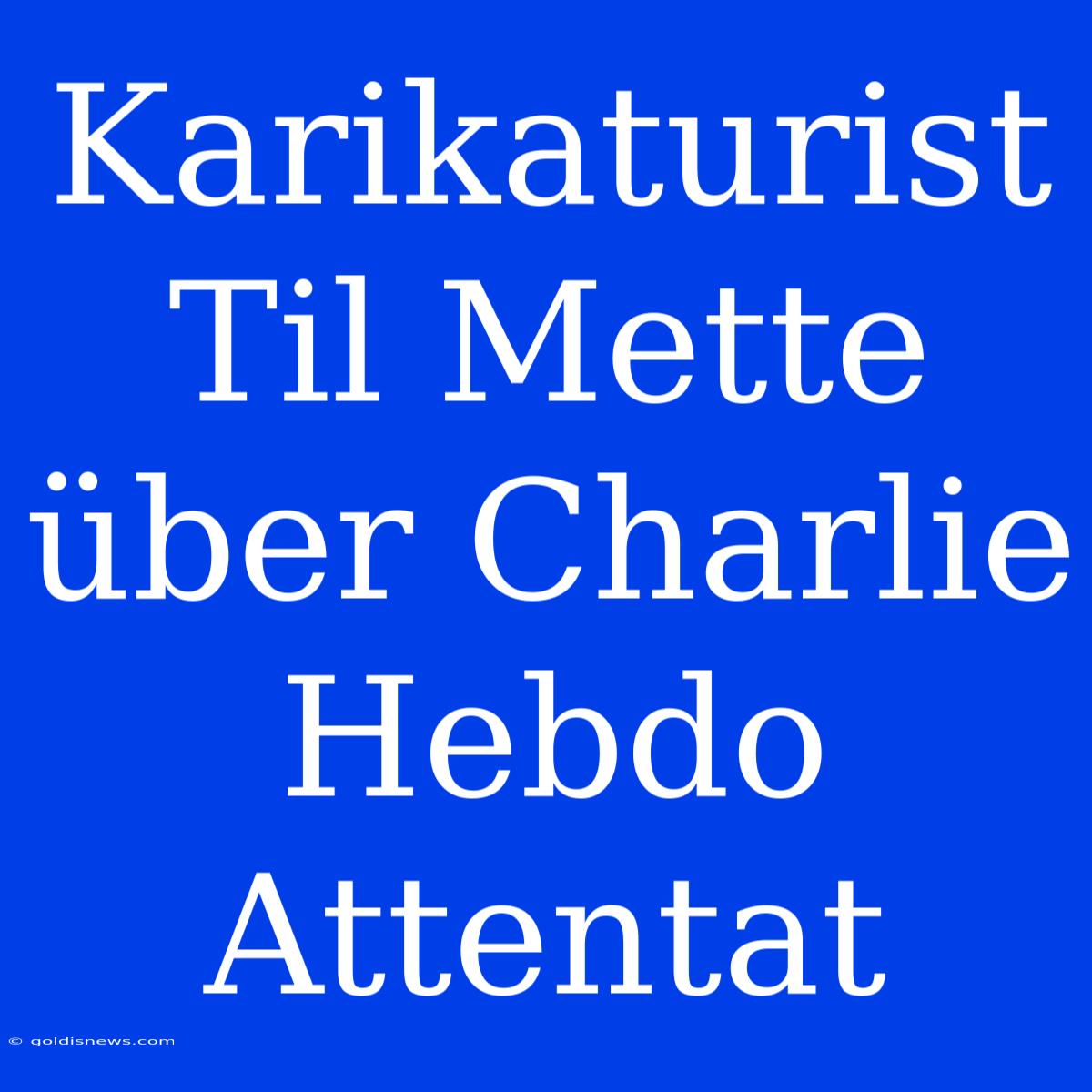 Karikaturist Til Mette Über Charlie Hebdo Attentat