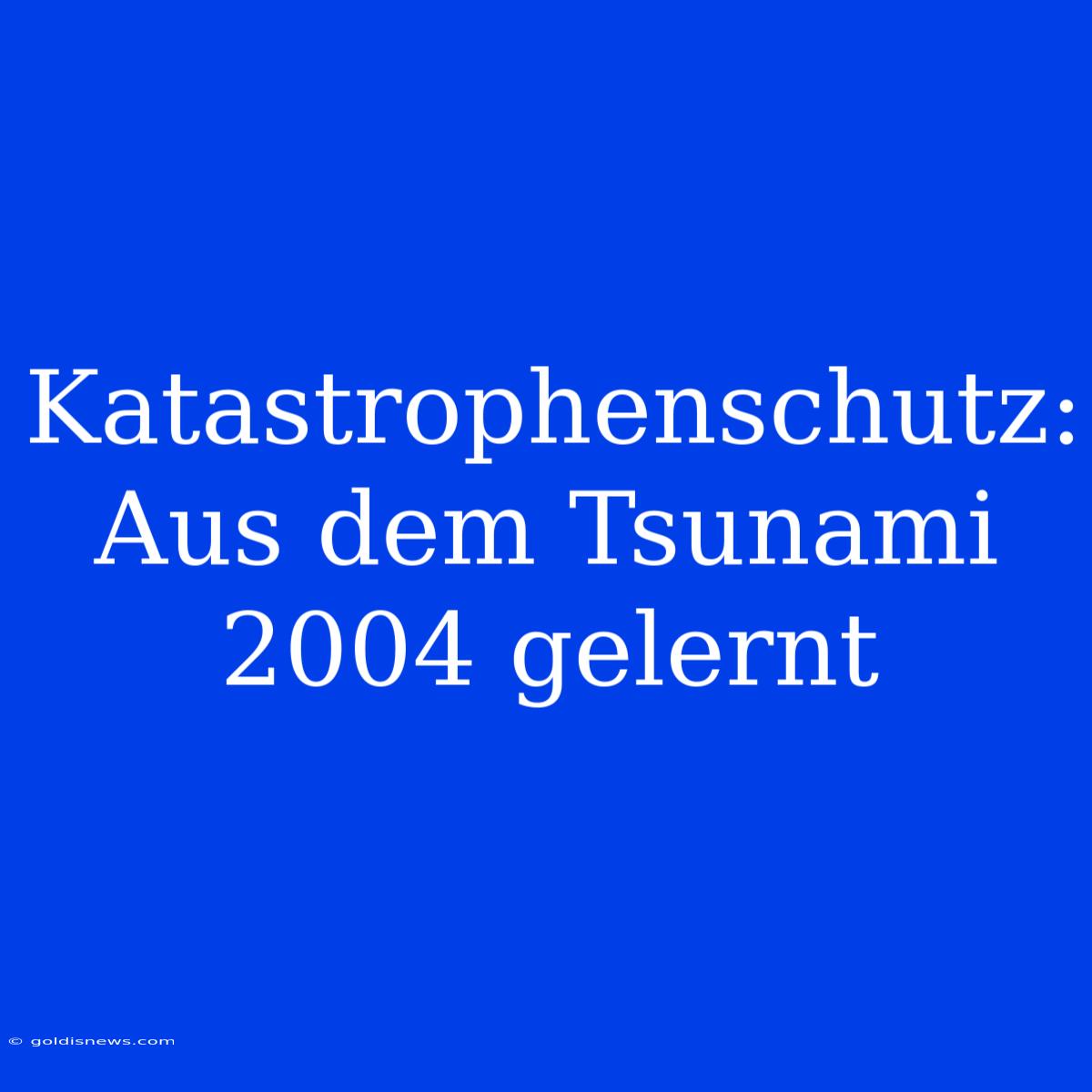 Katastrophenschutz:  Aus Dem Tsunami 2004 Gelernt