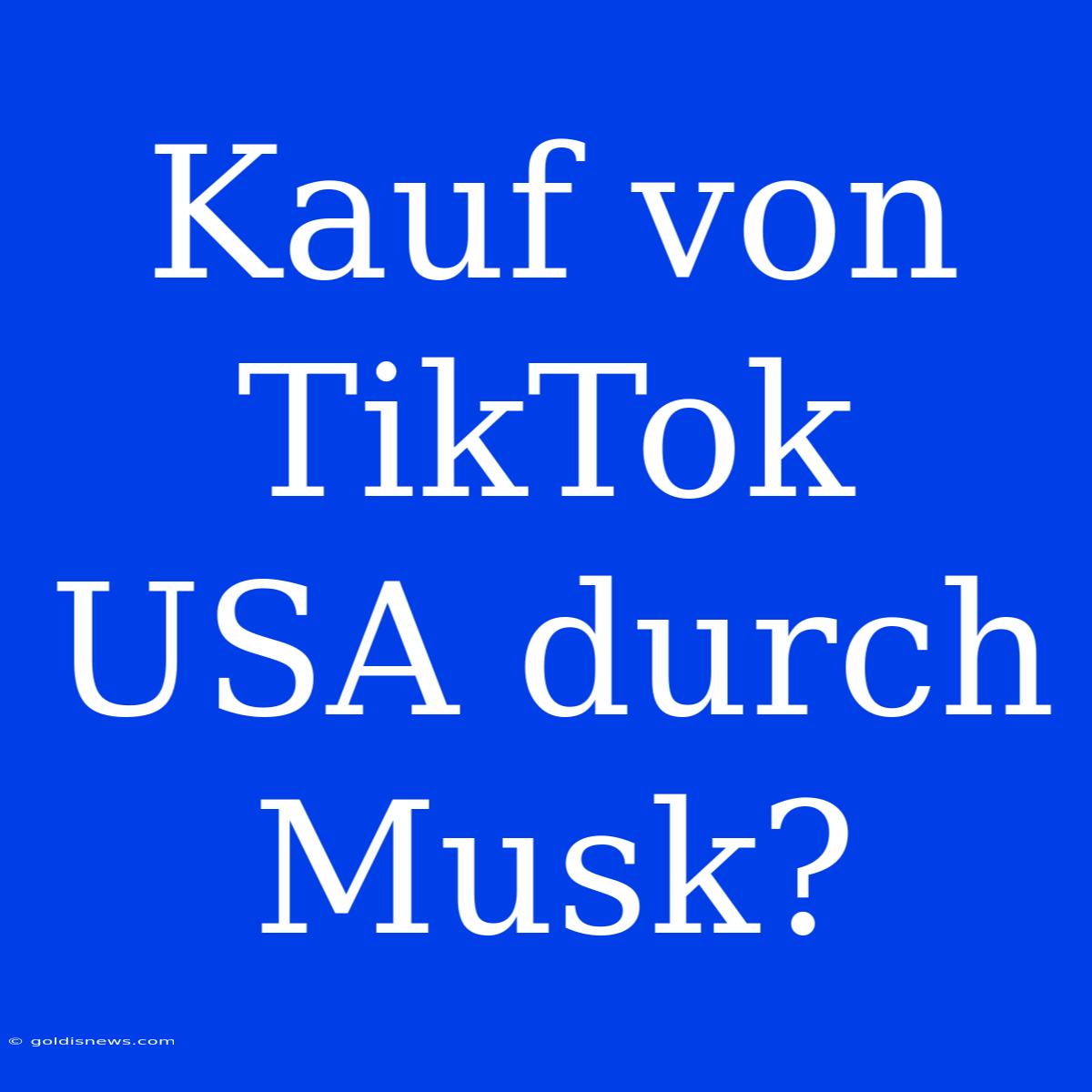 Kauf Von TikTok USA Durch Musk?