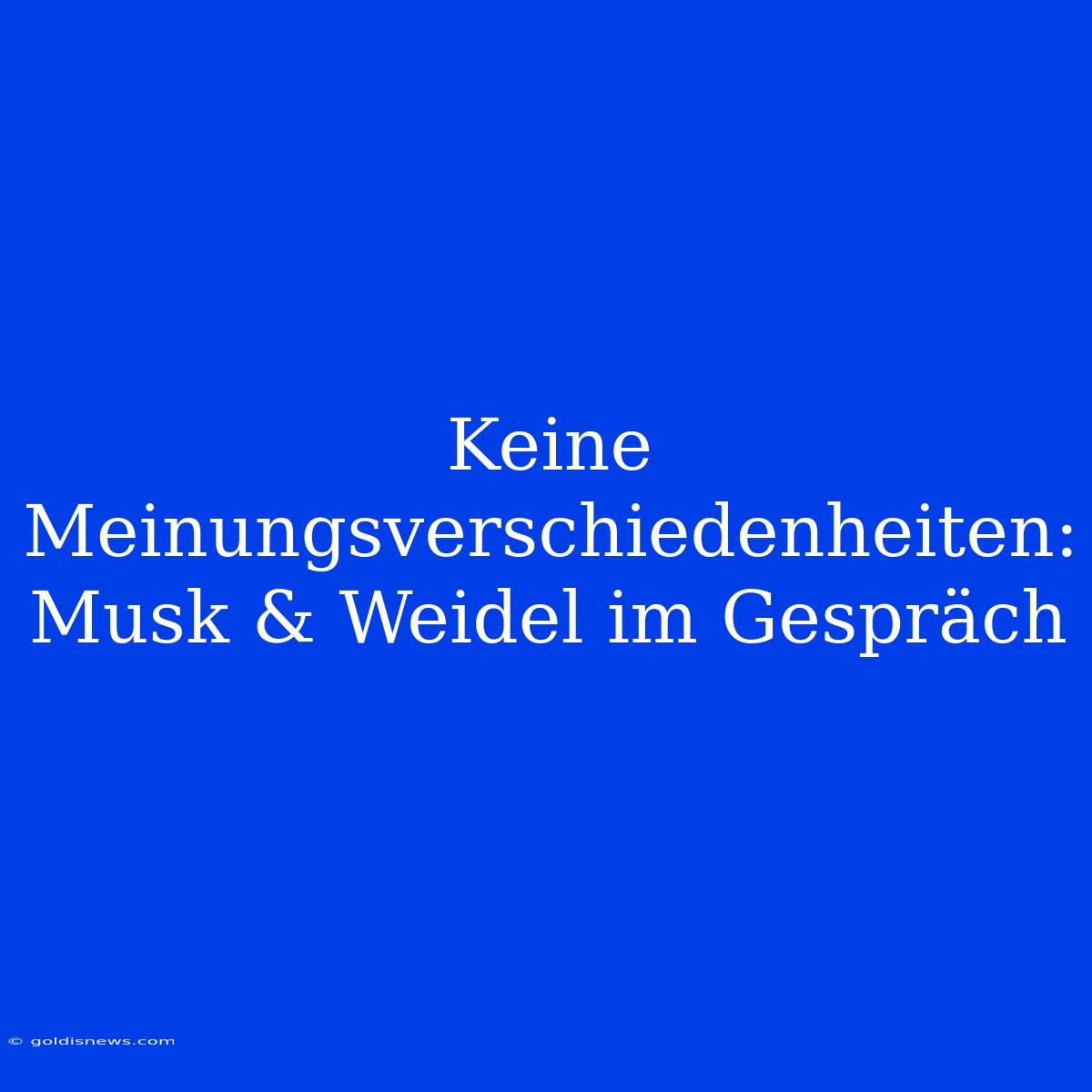 Keine Meinungsverschiedenheiten: Musk & Weidel Im Gespräch