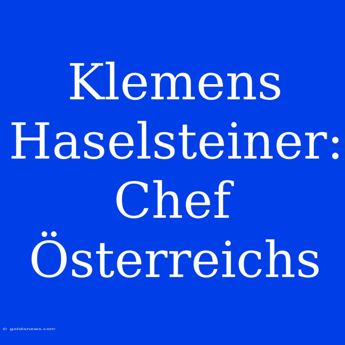 Klemens Haselsteiner: Chef Österreichs