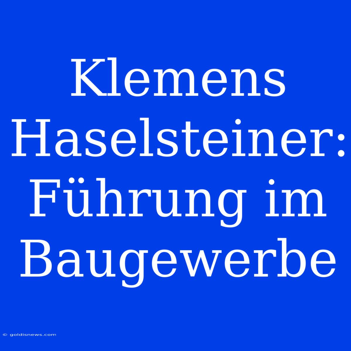 Klemens Haselsteiner: Führung Im Baugewerbe