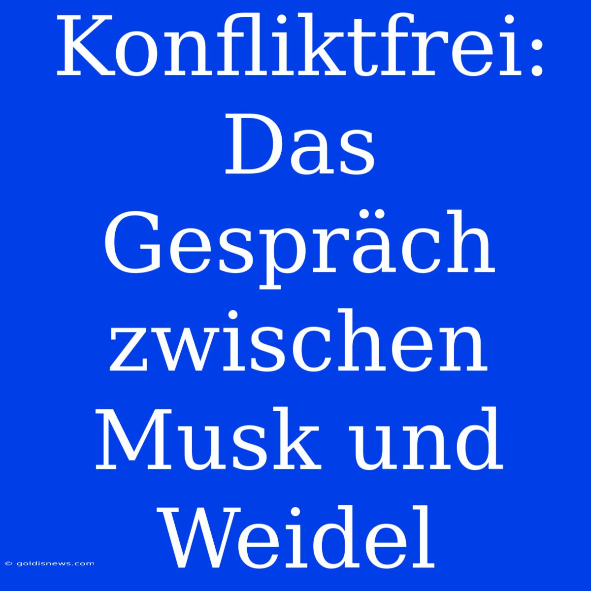 Konfliktfrei: Das Gespräch Zwischen Musk Und Weidel