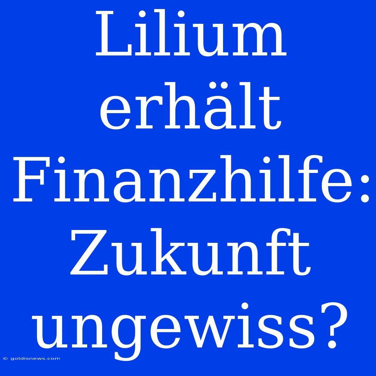 Lilium Erhält Finanzhilfe: Zukunft Ungewiss?