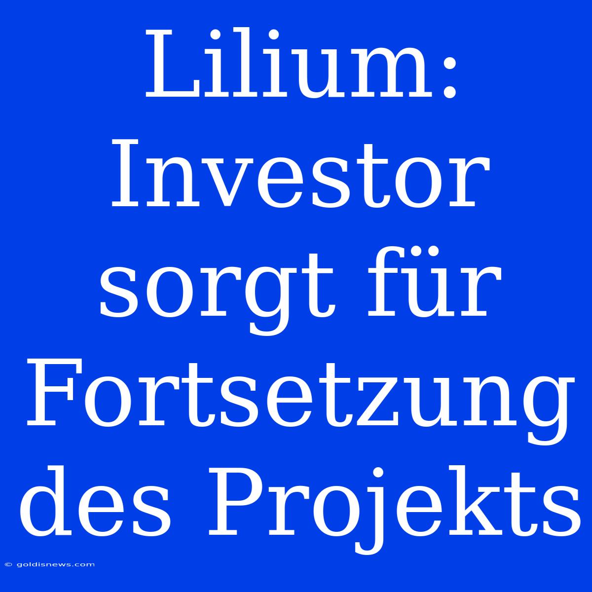 Lilium: Investor Sorgt Für Fortsetzung Des Projekts