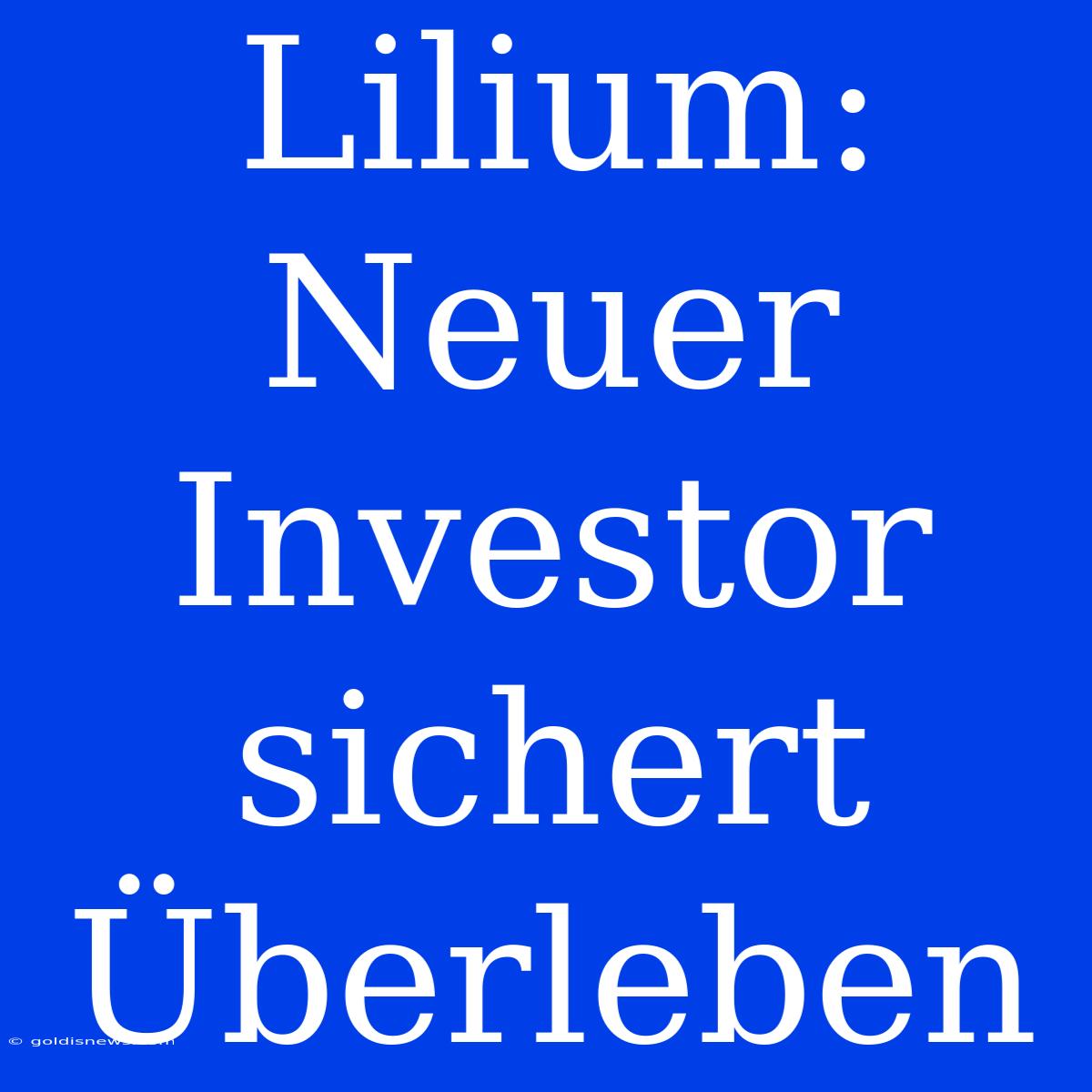 Lilium: Neuer Investor Sichert Überleben