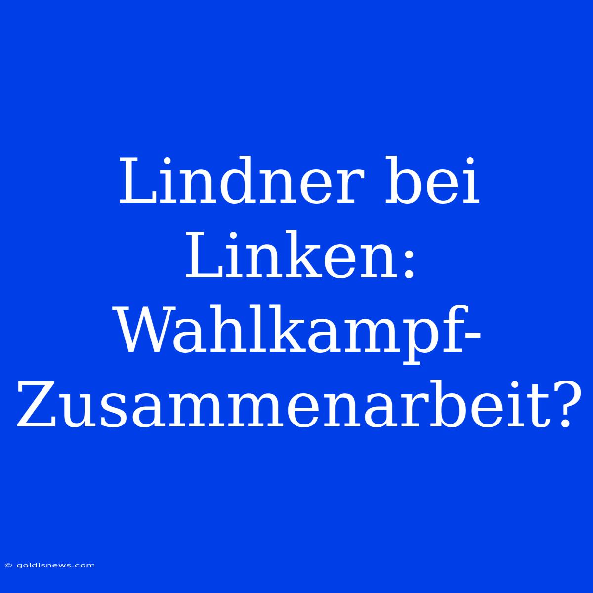 Lindner Bei Linken:  Wahlkampf-Zusammenarbeit?