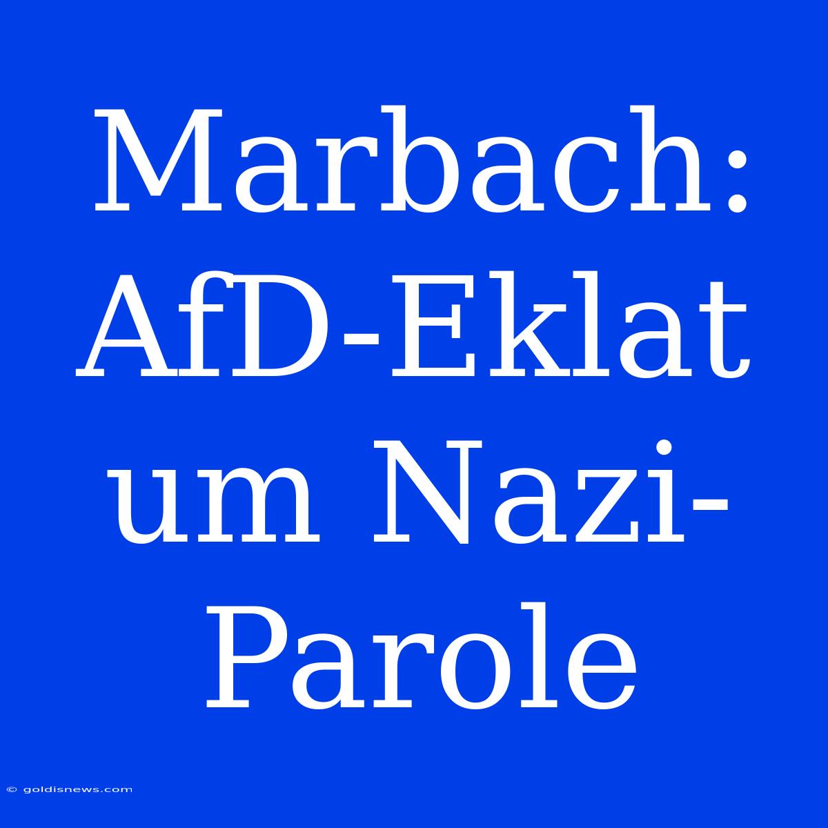 Marbach: AfD-Eklat Um Nazi-Parole