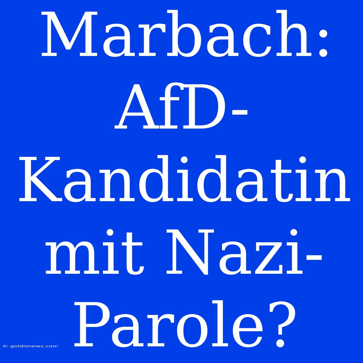 Marbach: AfD-Kandidatin Mit Nazi-Parole?