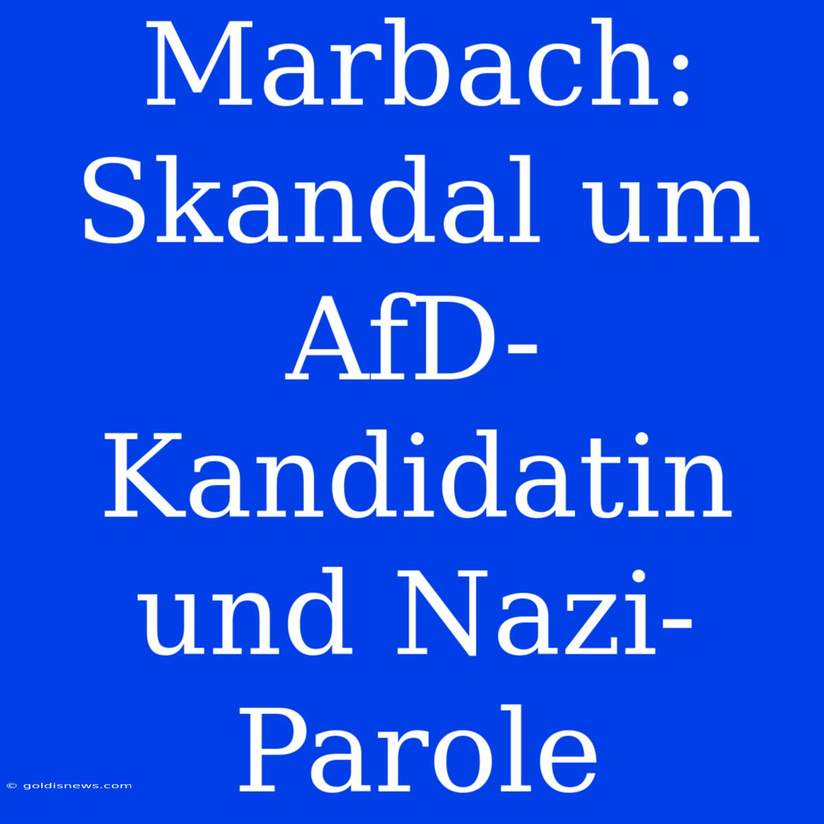 Marbach: Skandal Um AfD-Kandidatin Und Nazi-Parole