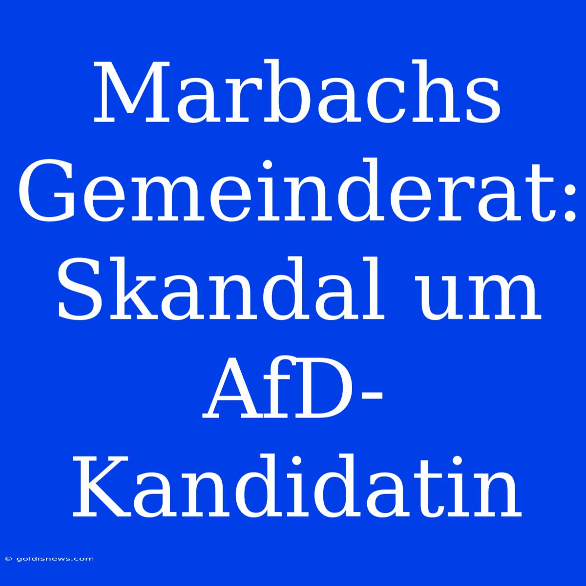 Marbachs Gemeinderat: Skandal Um AfD-Kandidatin