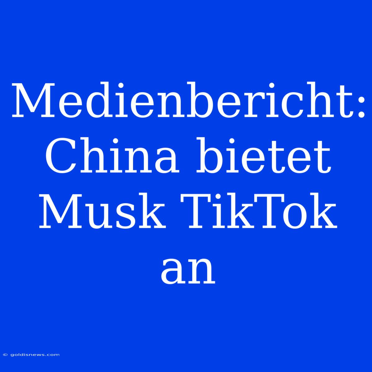 Medienbericht: China Bietet Musk TikTok An