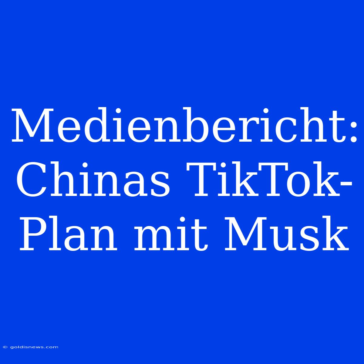 Medienbericht: Chinas TikTok-Plan Mit Musk