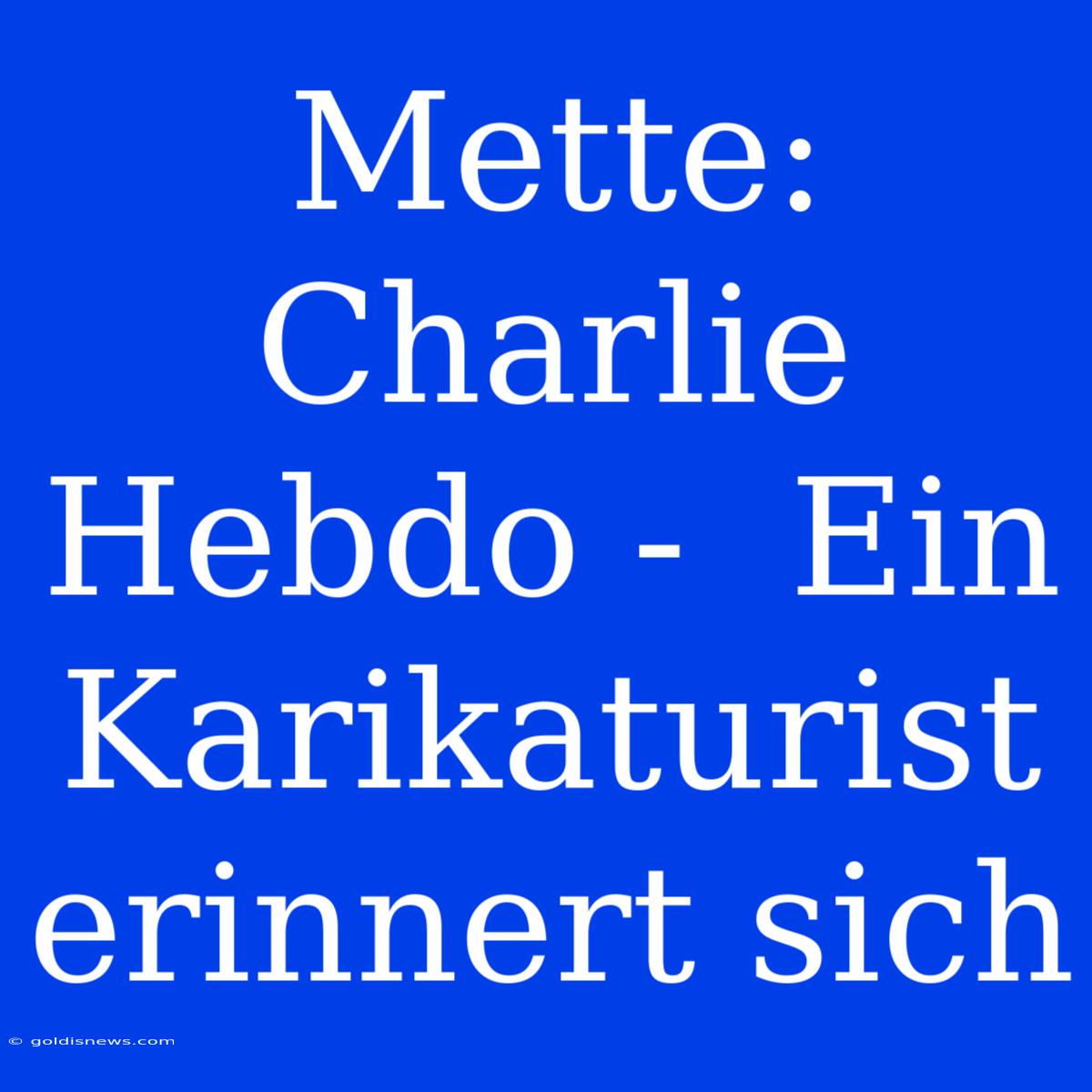 Mette: Charlie Hebdo -  Ein Karikaturist Erinnert Sich