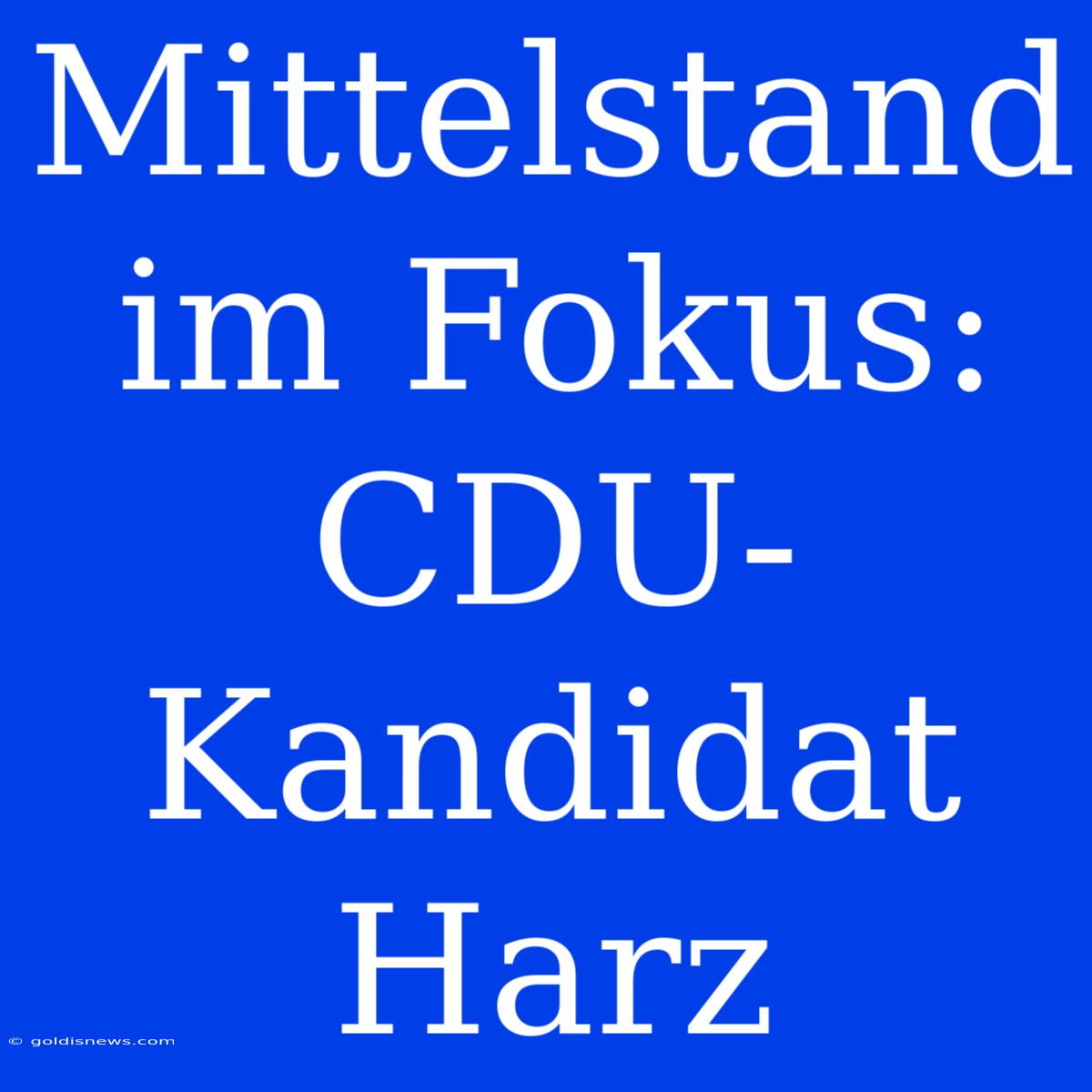 Mittelstand Im Fokus: CDU-Kandidat Harz