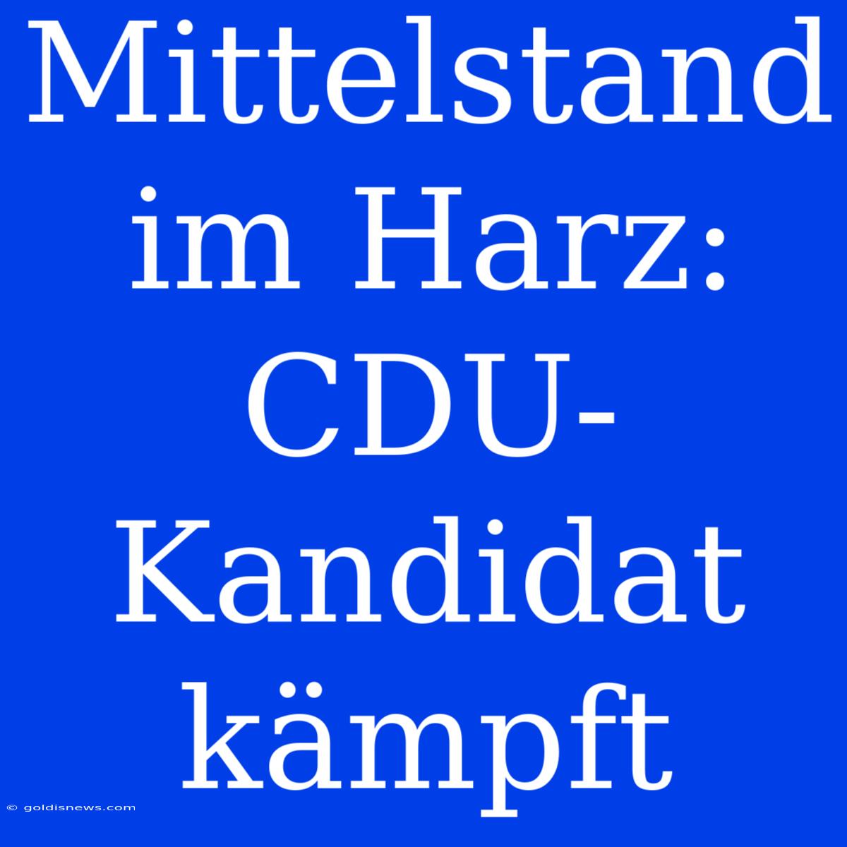 Mittelstand Im Harz: CDU-Kandidat Kämpft