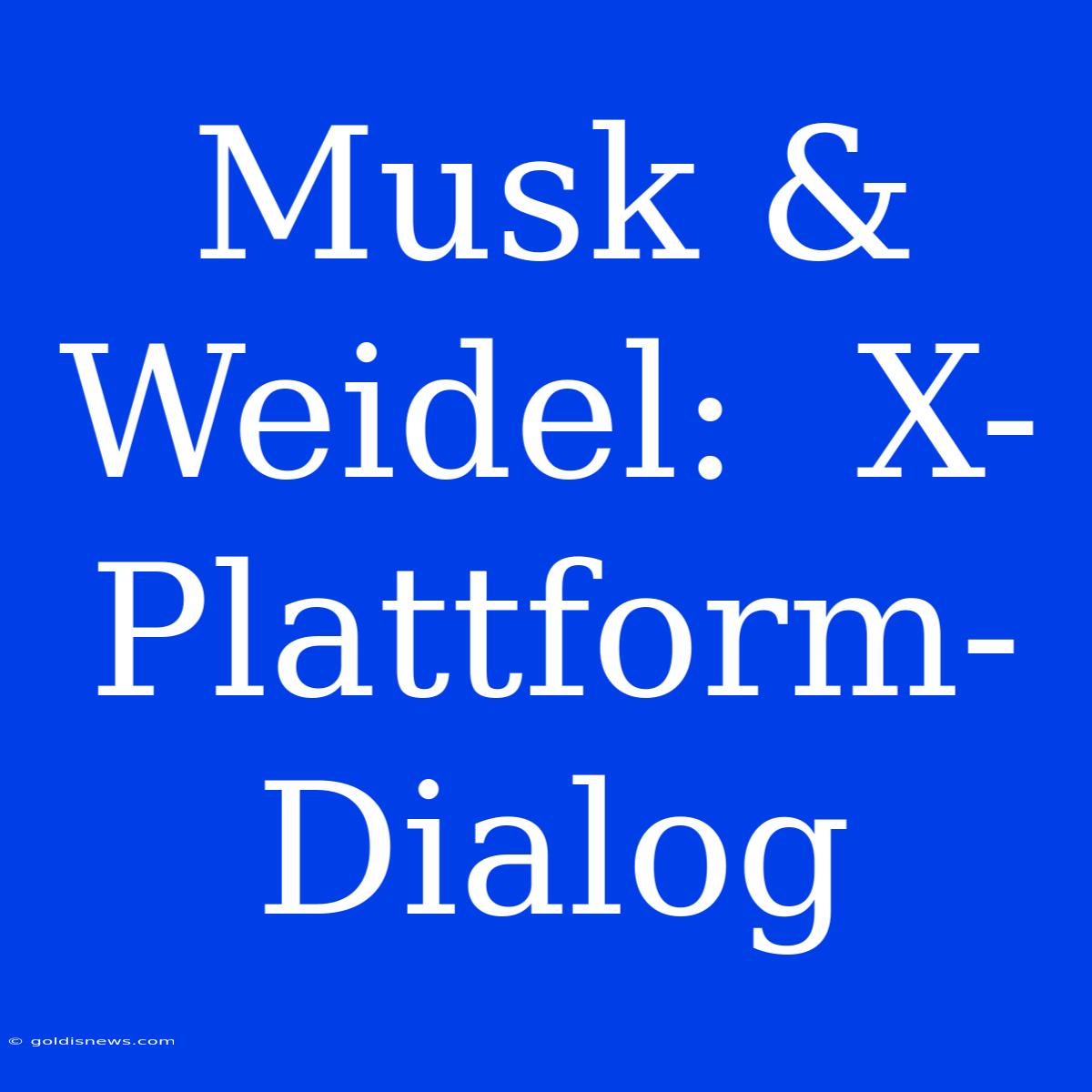 Musk & Weidel:  X-Plattform-Dialog