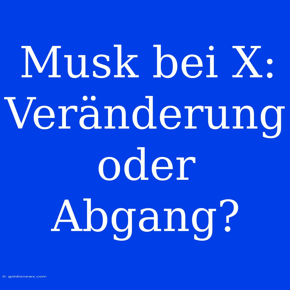 Musk Bei X:  Veränderung Oder Abgang?