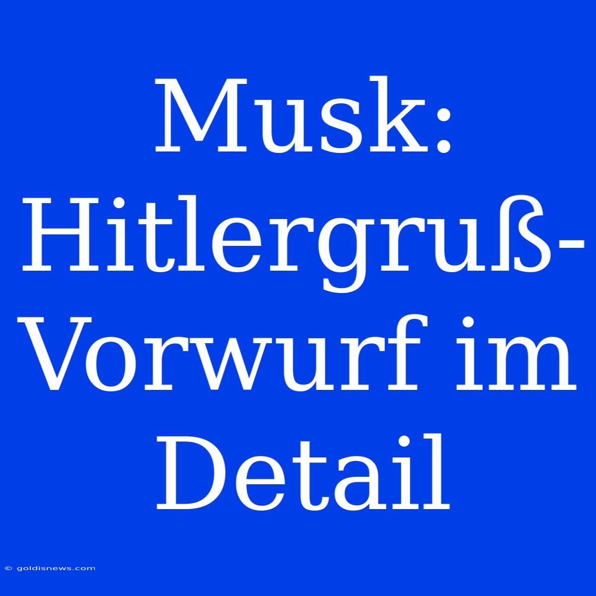 Musk:  Hitlergruß-Vorwurf Im Detail