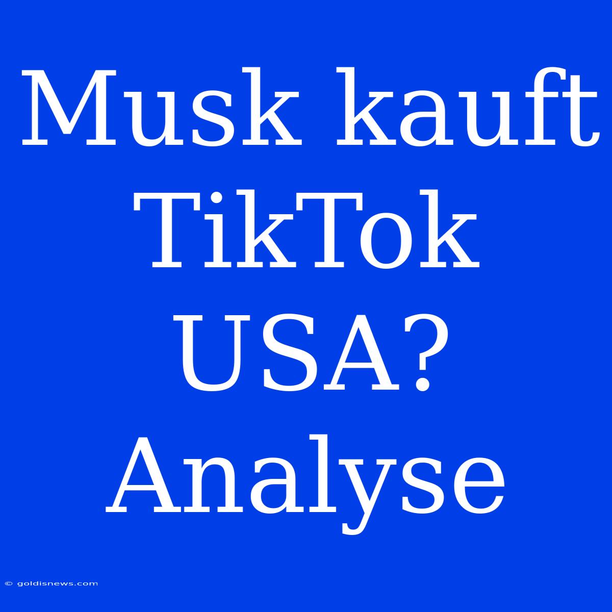 Musk Kauft TikTok USA? Analyse