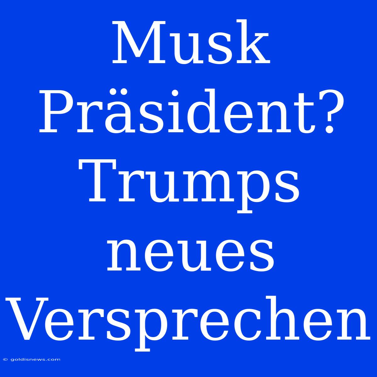 Musk Präsident? Trumps Neues Versprechen