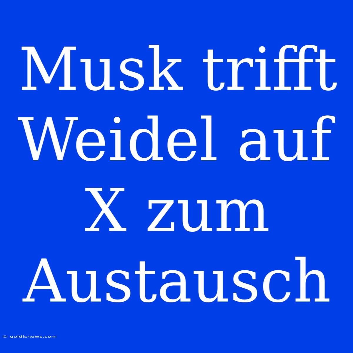 Musk Trifft Weidel Auf X Zum Austausch