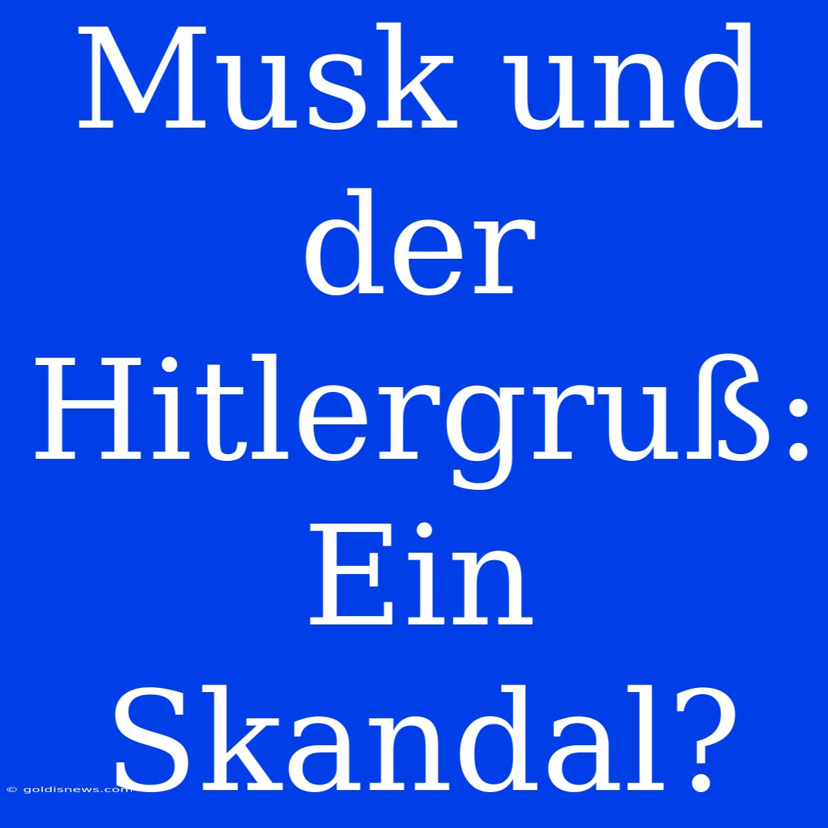 Musk Und Der Hitlergruß: Ein Skandal?