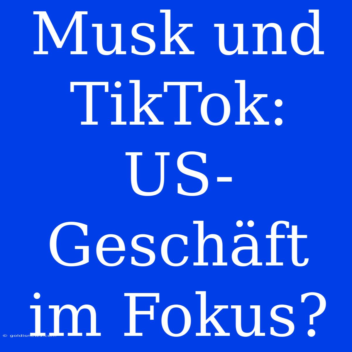 Musk Und TikTok: US-Geschäft Im Fokus?