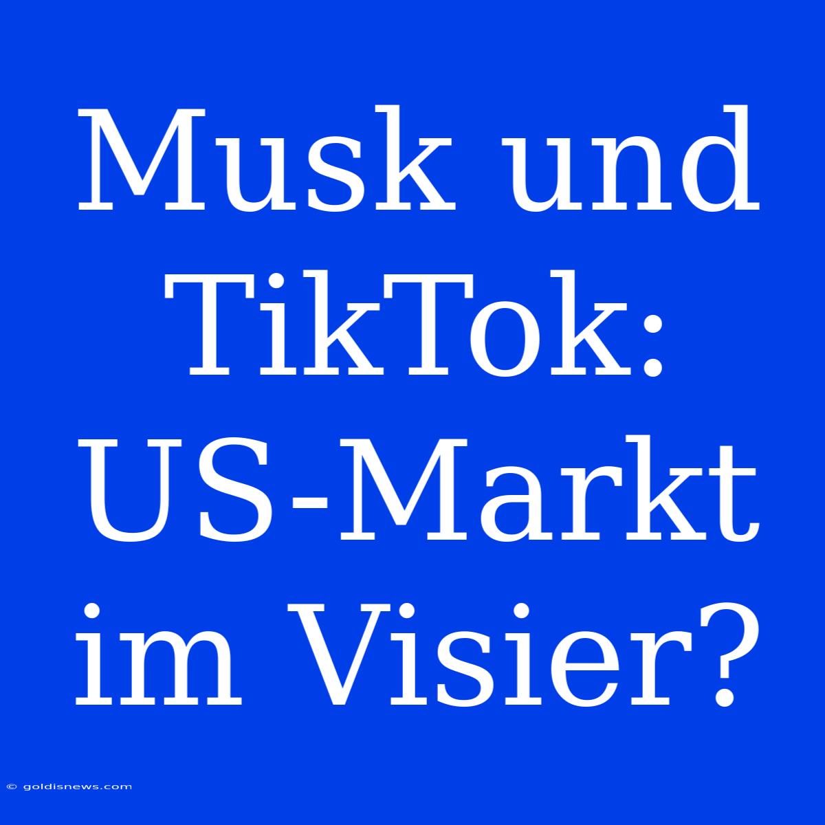 Musk Und TikTok: US-Markt Im Visier?