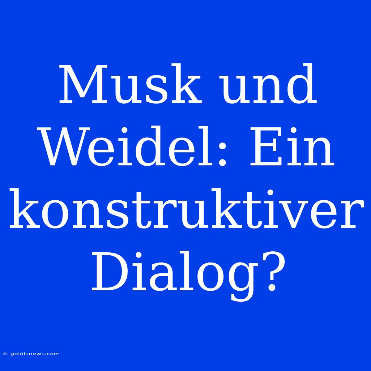 Musk Und Weidel: Ein Konstruktiver Dialog?