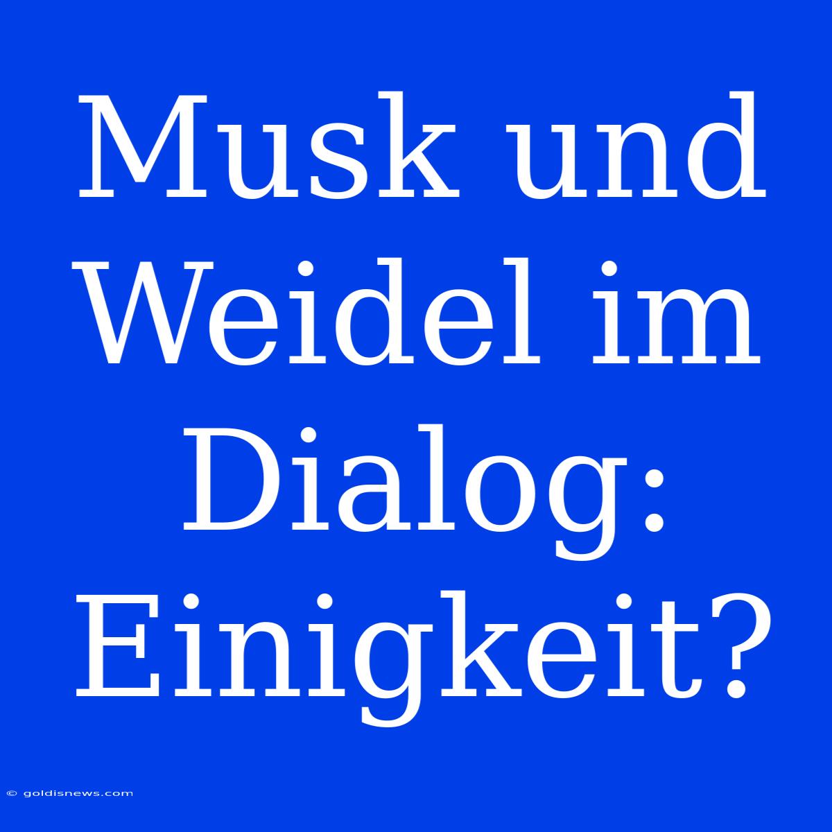 Musk Und Weidel Im Dialog: Einigkeit?