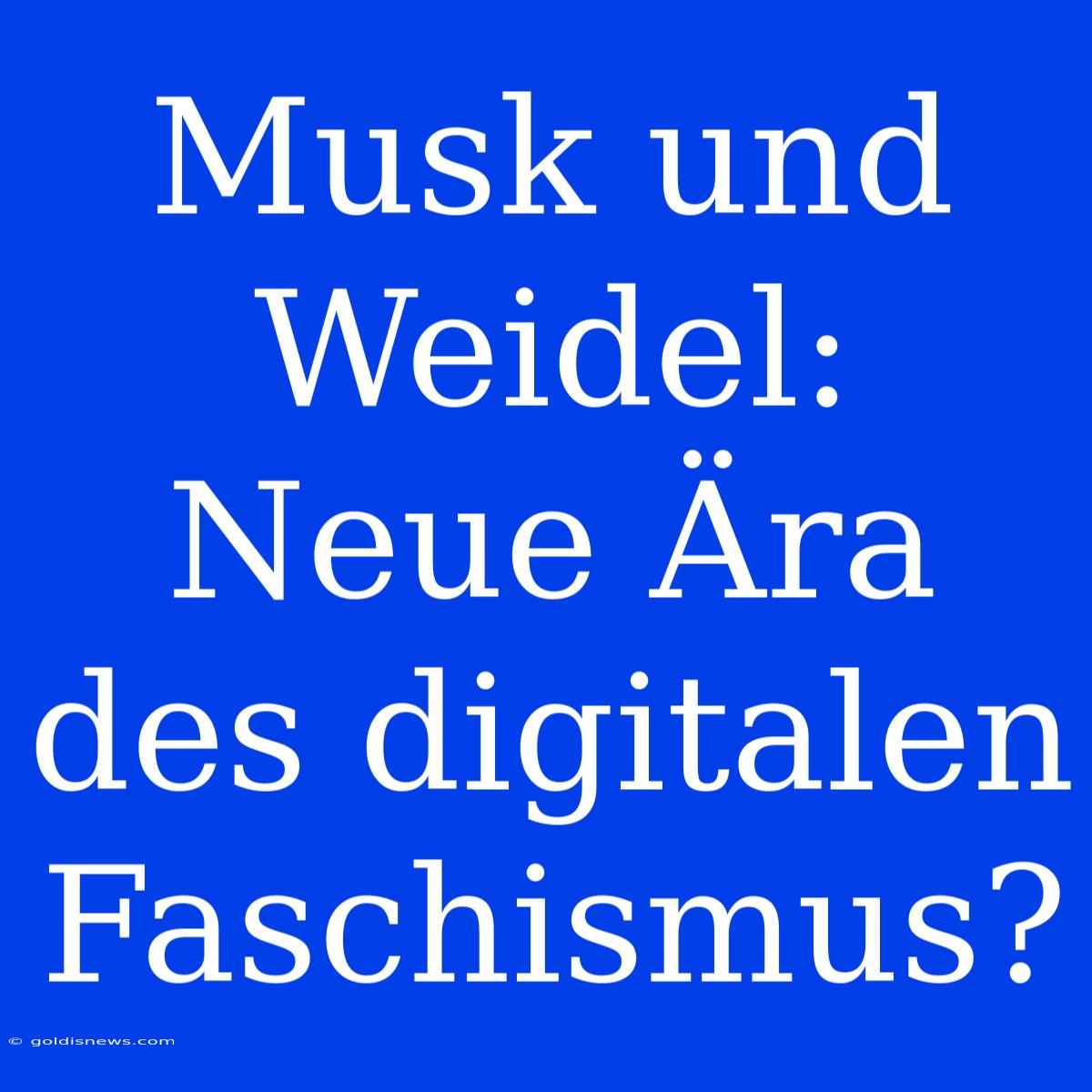 Musk Und Weidel:  Neue Ära Des Digitalen Faschismus?