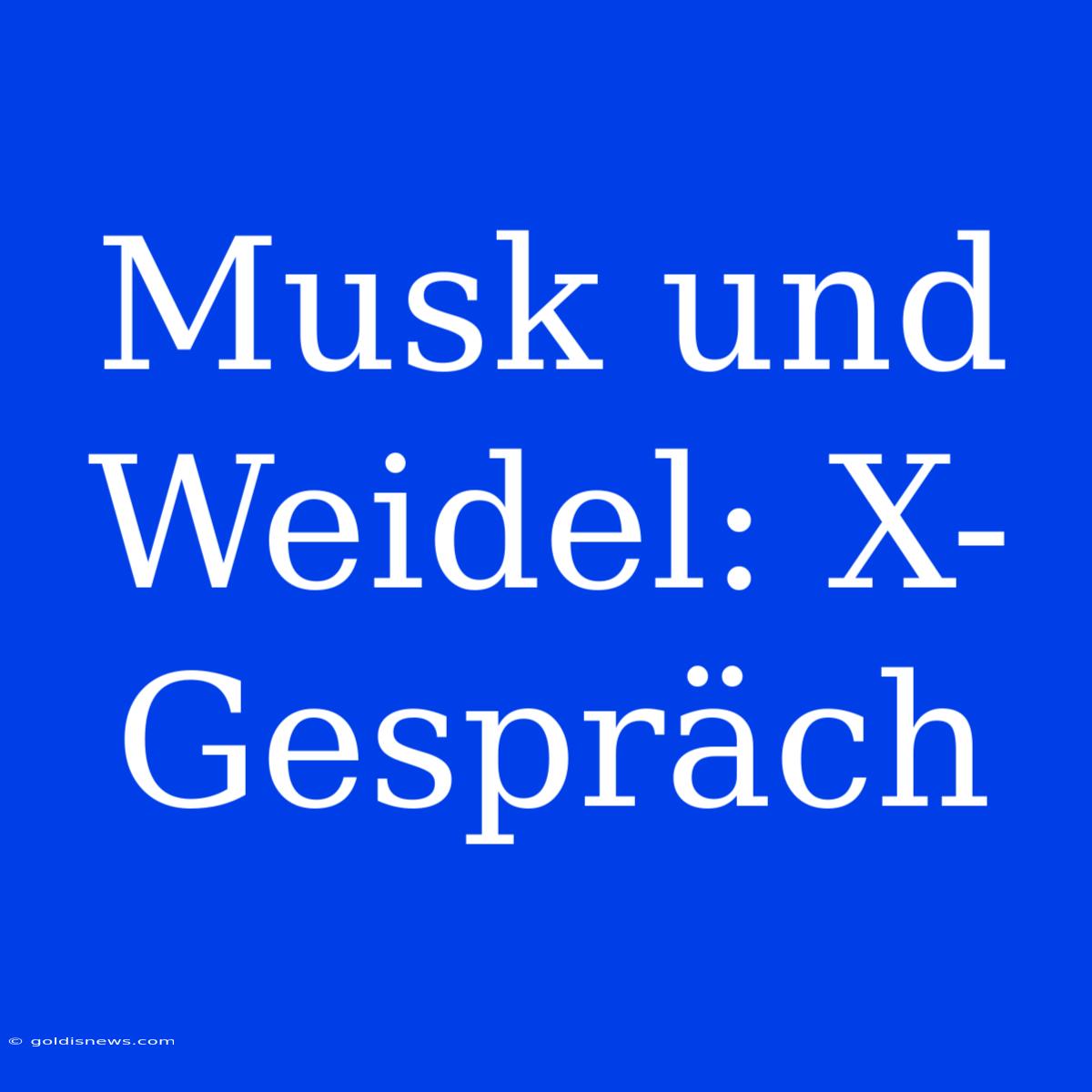 Musk Und Weidel: X-Gespräch