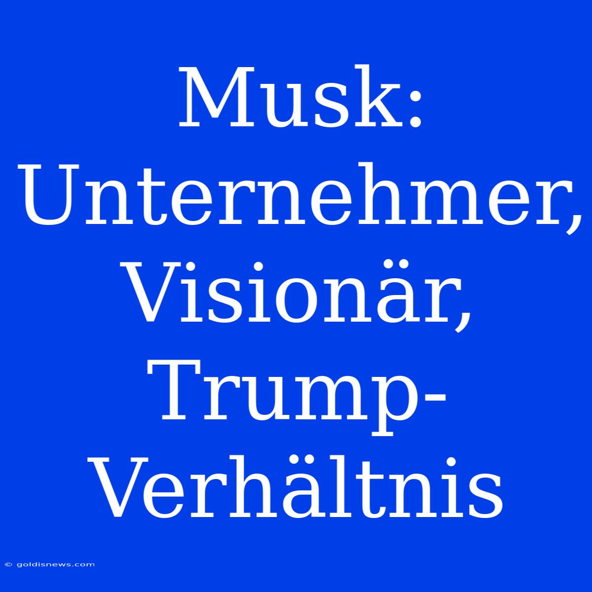 Musk: Unternehmer, Visionär, Trump-Verhältnis