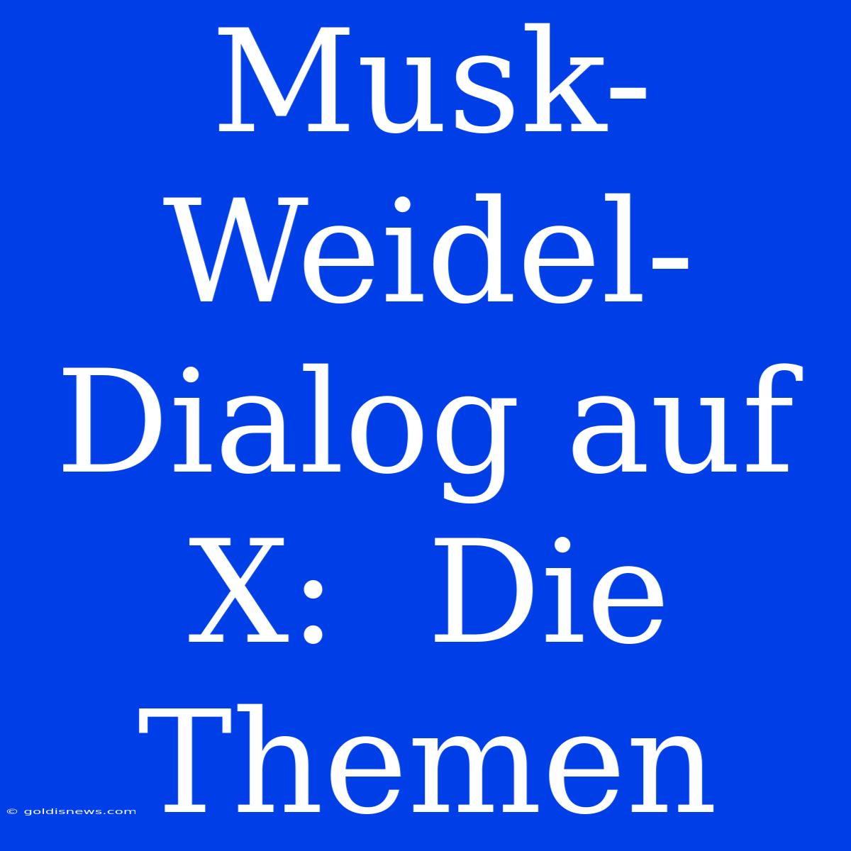 Musk-Weidel-Dialog Auf X:  Die Themen