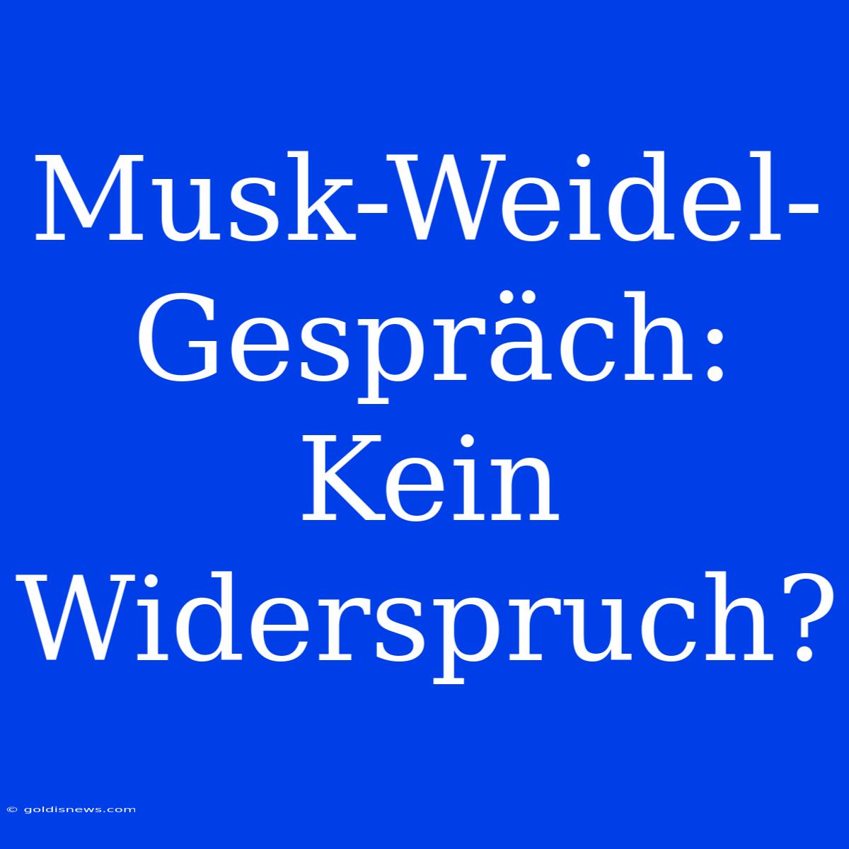 Musk-Weidel-Gespräch: Kein Widerspruch?