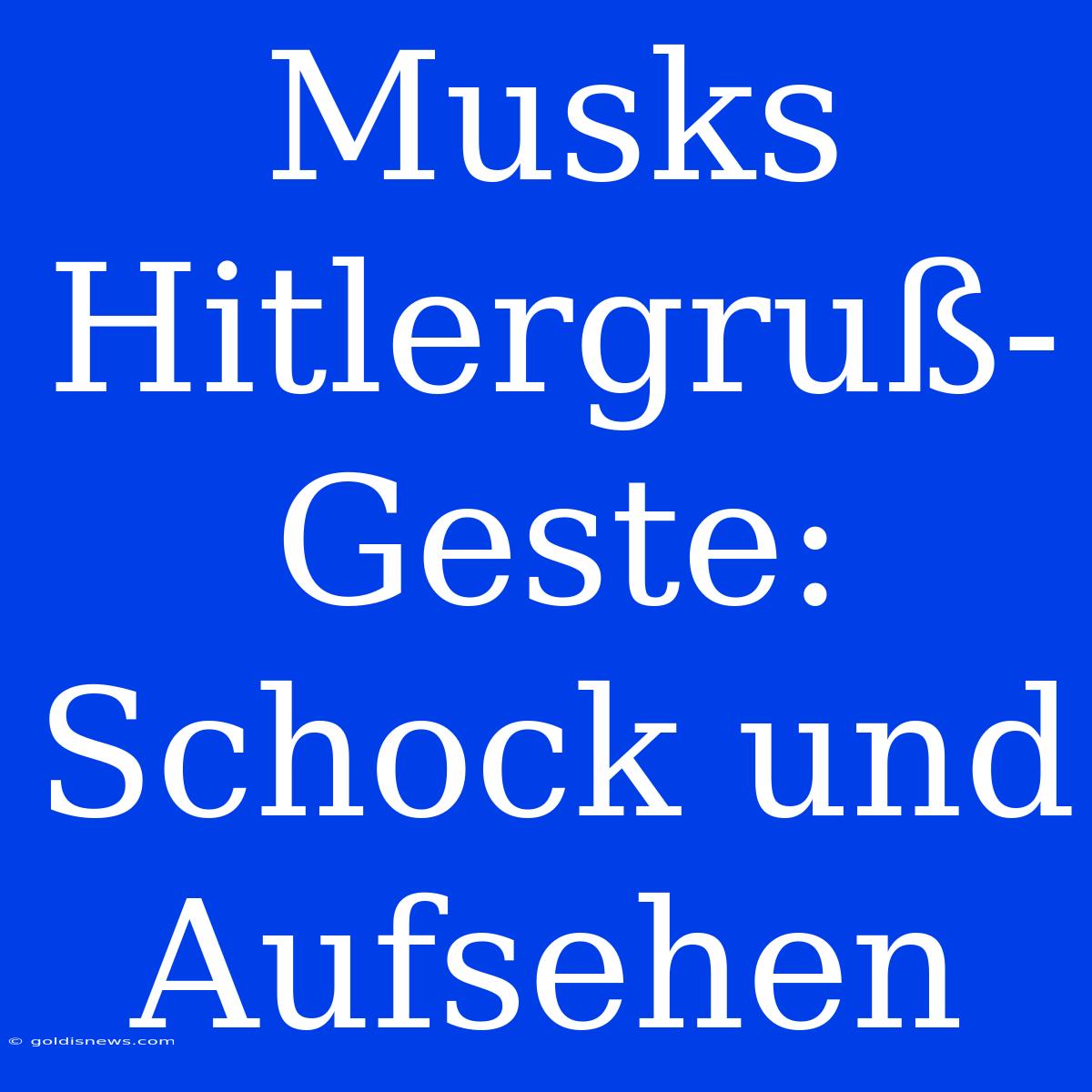 Musks Hitlergruß-Geste: Schock Und Aufsehen