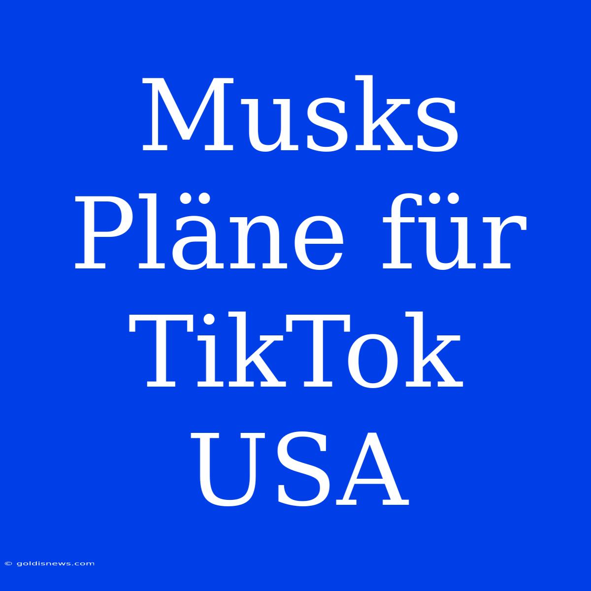 Musks Pläne Für TikTok USA