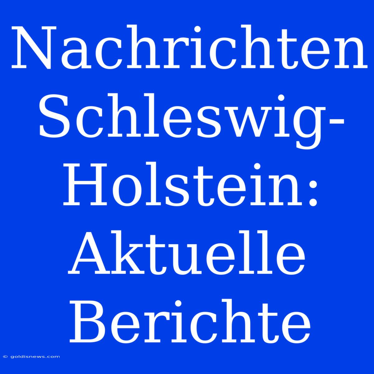 Nachrichten Schleswig-Holstein: Aktuelle Berichte