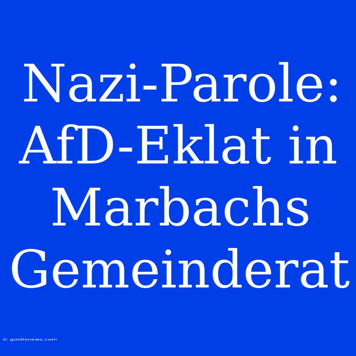 Nazi-Parole: AfD-Eklat In Marbachs Gemeinderat