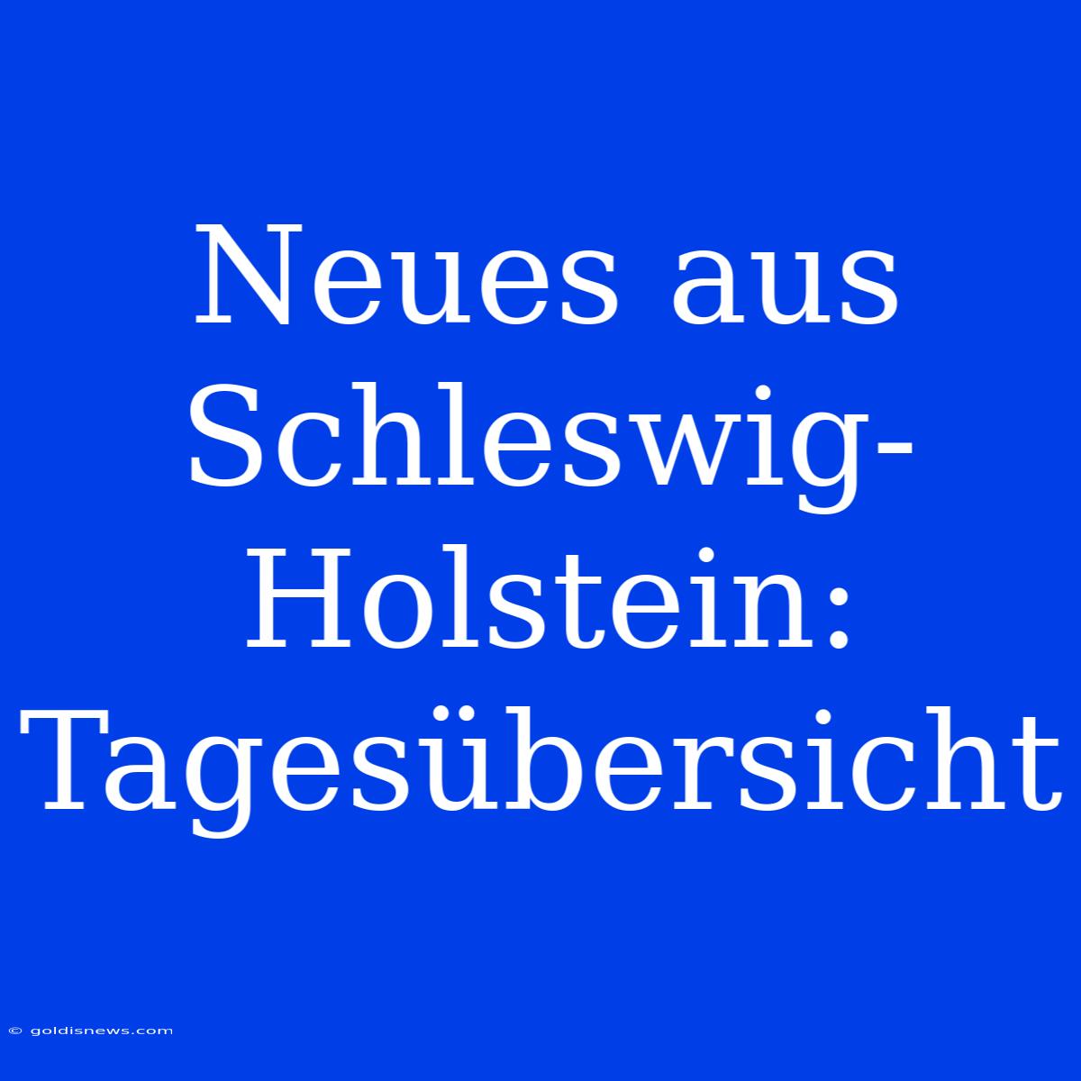 Neues Aus Schleswig-Holstein:  Tagesübersicht