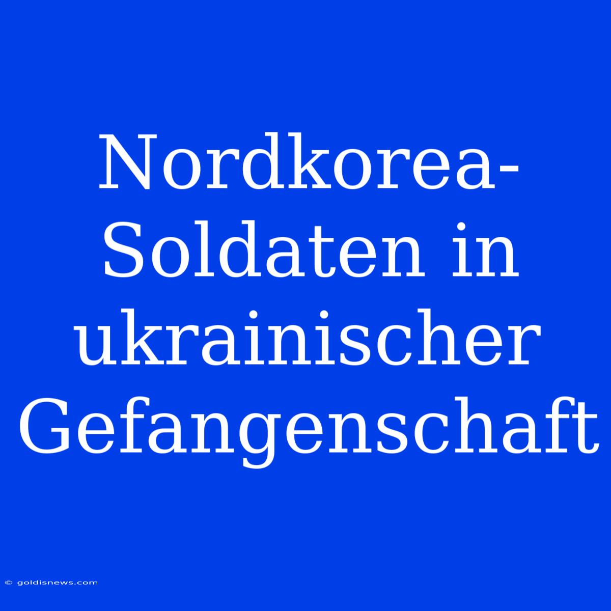 Nordkorea-Soldaten In Ukrainischer Gefangenschaft