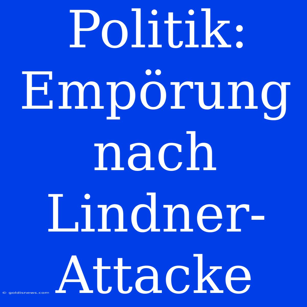 Politik: Empörung Nach Lindner-Attacke