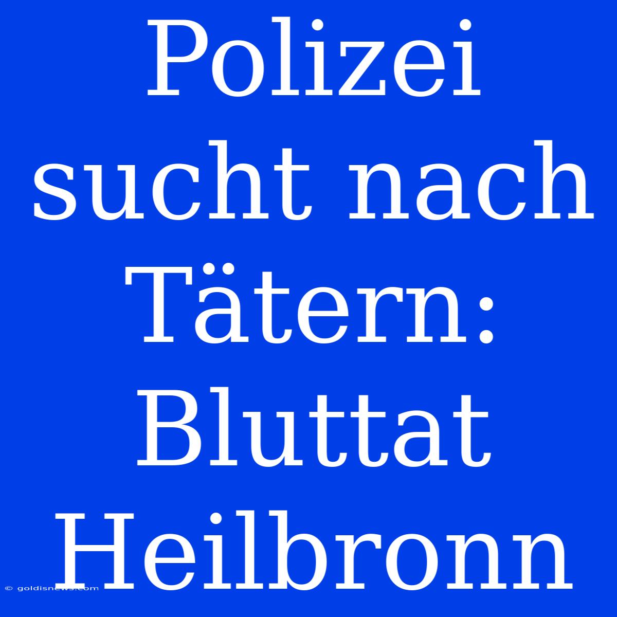 Polizei Sucht Nach Tätern: Bluttat Heilbronn