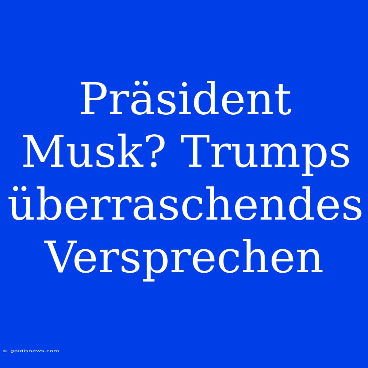 Präsident Musk? Trumps Überraschendes Versprechen