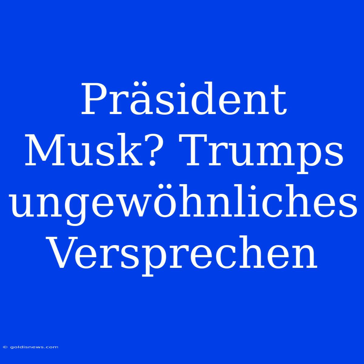 Präsident Musk? Trumps Ungewöhnliches Versprechen