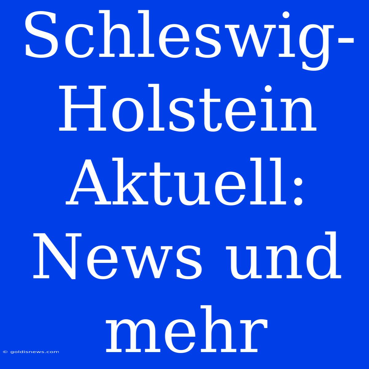 Schleswig-Holstein Aktuell:  News Und Mehr