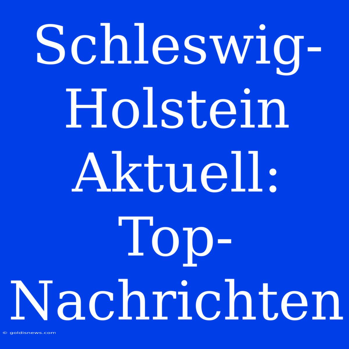 Schleswig-Holstein Aktuell: Top-Nachrichten